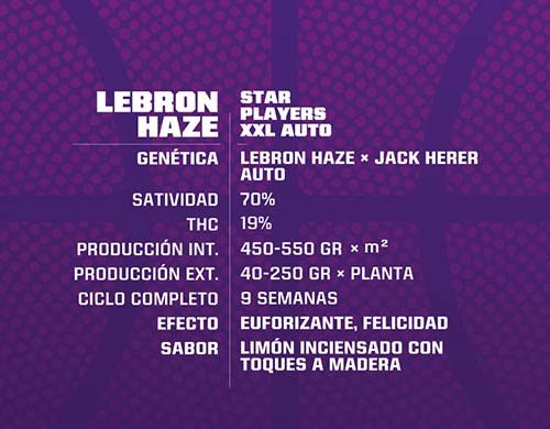 SensorySeeds Descripción Semillas Lebron Haze Autoflorecientes