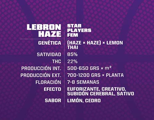 SensorySeeds Descripción Semillas Lebron Haze Feminizadas