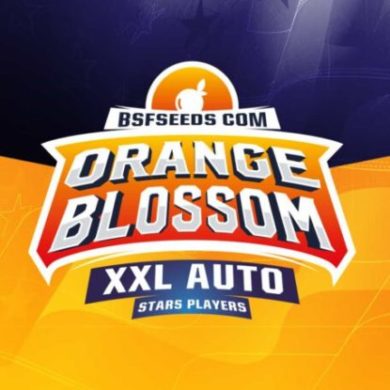 Logo de Orange Blossom de semillas autoflorecientes