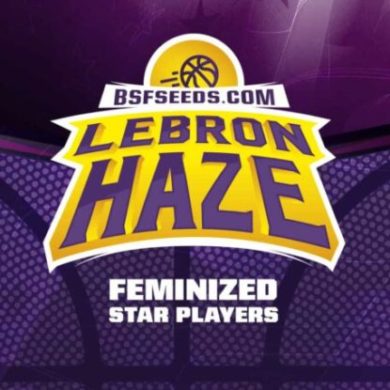 Logo semillas feminizadas de Lebron Haze