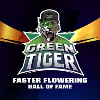 Logo de semillas de floracion rapida Green Tiger