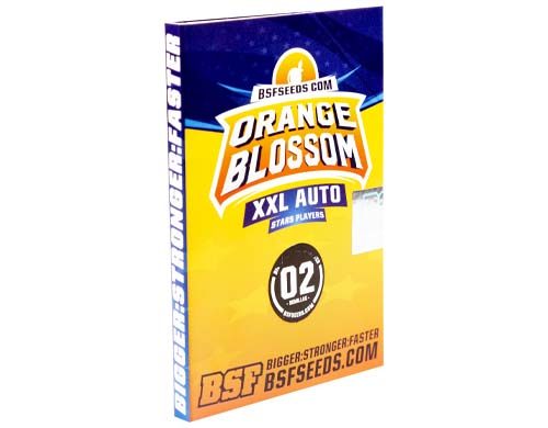 SensorySeeds Paquete Semillas Orange Blossom Autoflorecientes