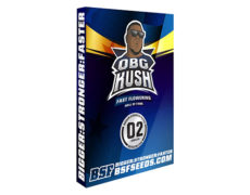 Semillas de marihuana floracion rapida Obg Kush 