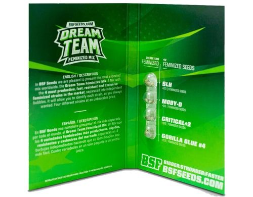 Paquete de semillas de marihuana Dream Team Feminized Mix