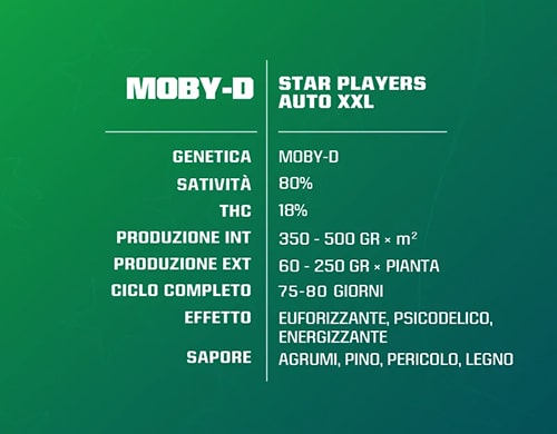 información sobre las semillas de cannabis Moby-D xxl auto