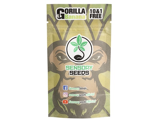 embalaje semillas de cannabis gorilla banana