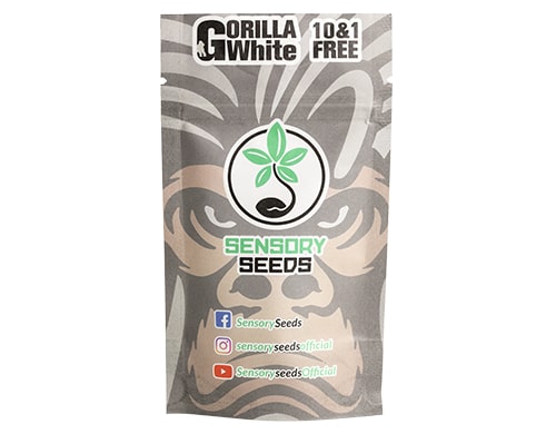 embalaje semillas de cannabis white gorilla