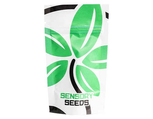 packaging-semillas-de-cannabis-black-dom-xxl