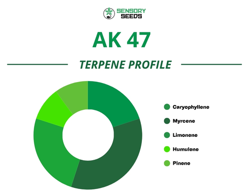 Gráfico circular del perfil de terpenos de la variedad AK 47