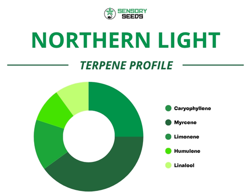 Gráfico circular del perfil de terpenos de la variedad Northern Light