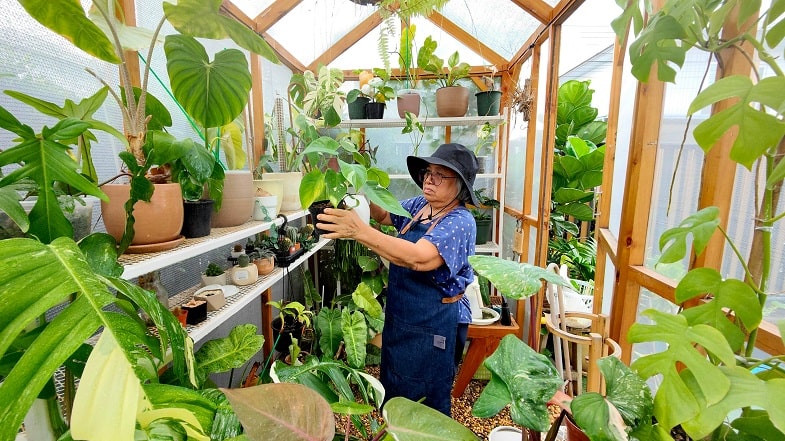 La poda de las plantas