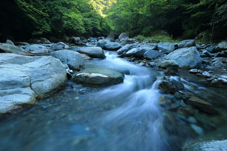 agua en diferentes fases de crecimiento