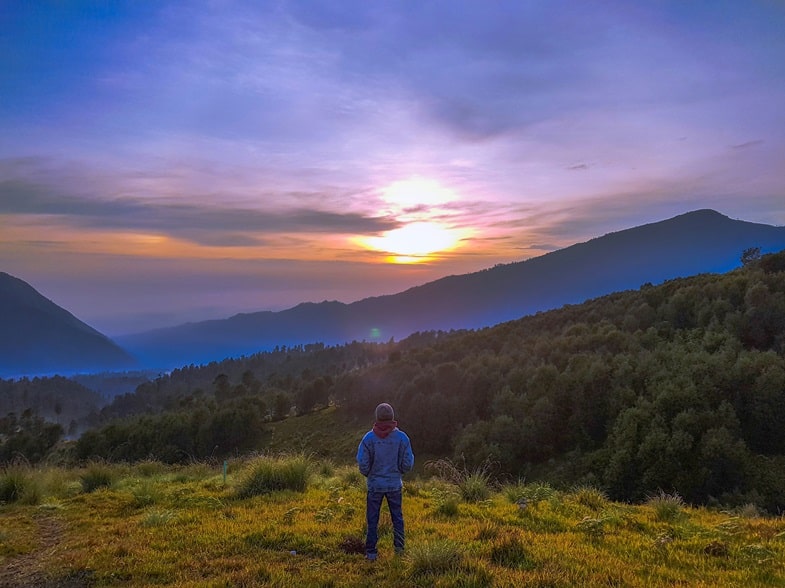 Sostenibilidad ambiental: beneficio de los pesticidas naturales