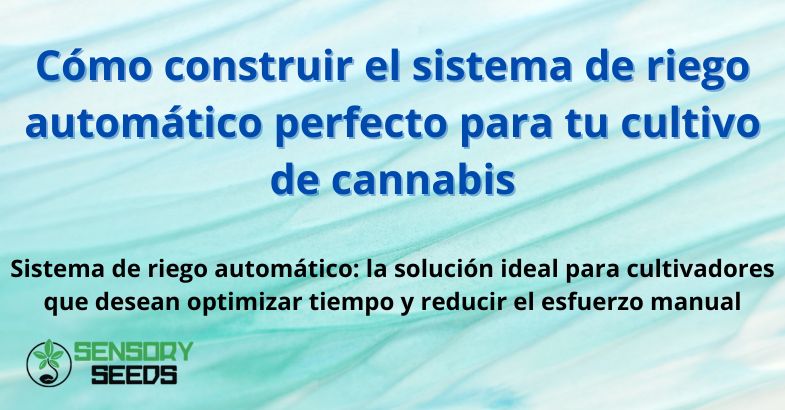 Cómo construir el sistema de riego automático perfecto para tu cultivo de cannabis