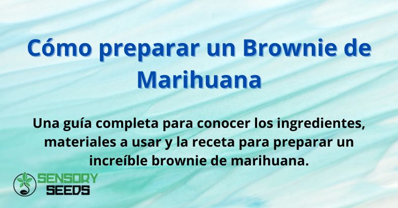 preparar-brownie-de-marihuana Cómo preparar un Brownie de Marihuana