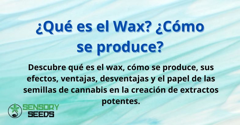 que-es-el-wax-como-se-produce ¿Qué es el Wax? ¿Cómo se produce?