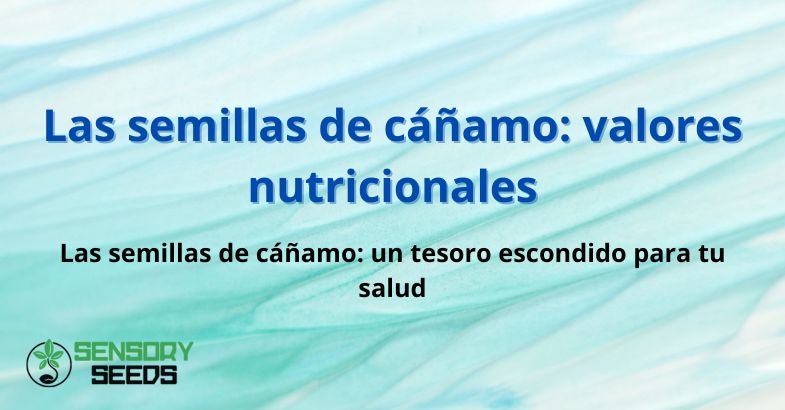 canamo-valores-nutricionales Las semillas de cáñamo: valores nutricionales