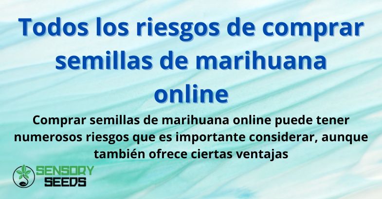 riesgos-comprar-semillas-cannabis-online Todos los riesgos de comprar semillas de marihuana online