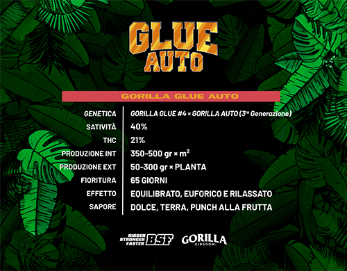 Descripción completa del producto Gorilla Glue Auto