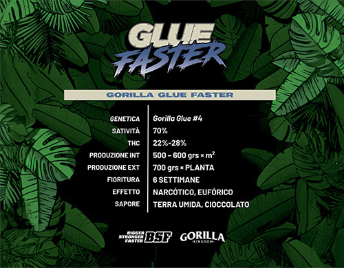 Descripción completa del producto Gorilla Glue Faster
