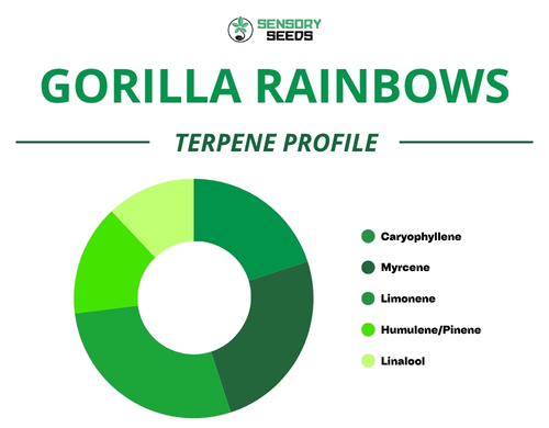 Gráfico circular del perfil de terpenos de la variedad Gorilla Rainbow