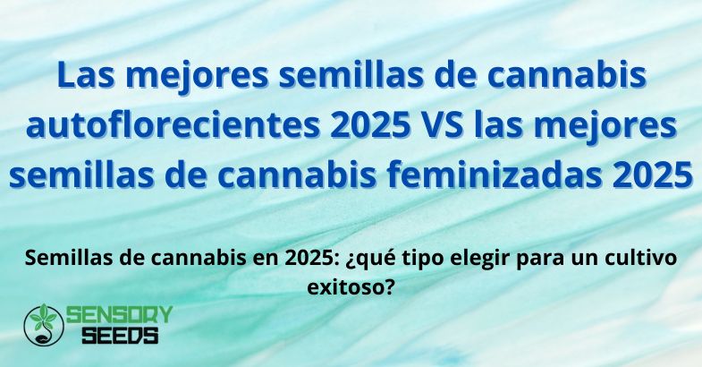 autoflorecientes-vs-feminizadas Semillas de cannabis autoflorecientes VS Semillas de cannabis feminizadas