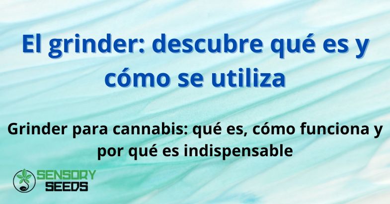 el-grinder-que-es El grinder: descubre qué es y cómo se utiliza