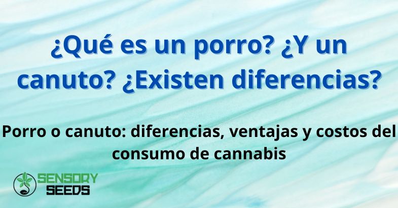 porro-y-canuto ¿Qué es un porro? ¿Y un canuto? ¿Existen diferencias?