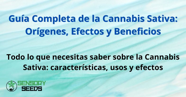 guia-completa-cannabis-sativa Guía Completa de la Cannabis Sativa