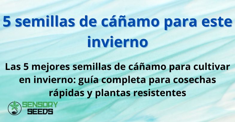 semillas-de-canamo-invierno 5 semillas de cáñamo para este invierno