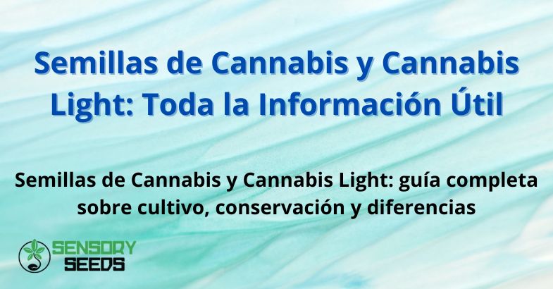 Semillas de Cannabis y Cannabis Light: Toda la Información Útil