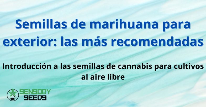 Semillas de marihuana para exterior: las más recomendadas